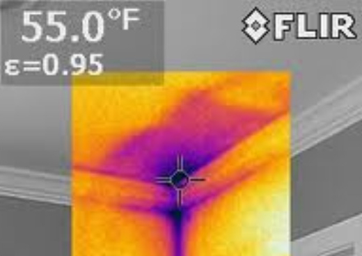 Darker areas show where heat is being lost from inadequate insulation.